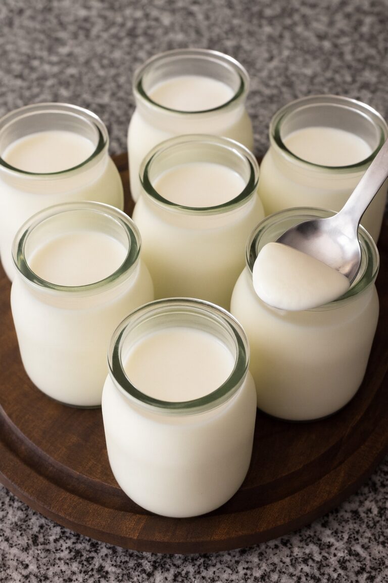 Yogur Casero Muy Cremoso y sin Yogurtera