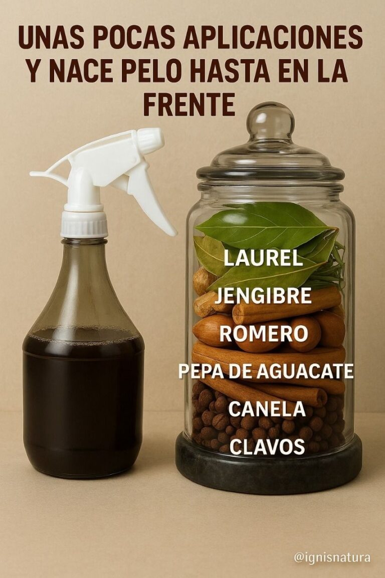 Tónico Capilar de Laurel, Romero y Aguacate