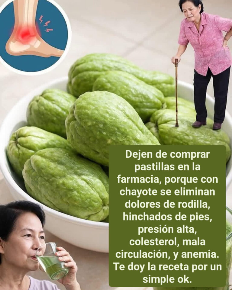 Chayote: el alimento natural que puede ayudar a mejorar la presión, colesterol, circulación y más