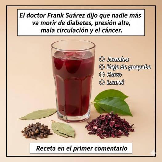 Infusión Natural para Apoyar la Circulación, la Presión Arterial y el Control de la Glucosa
