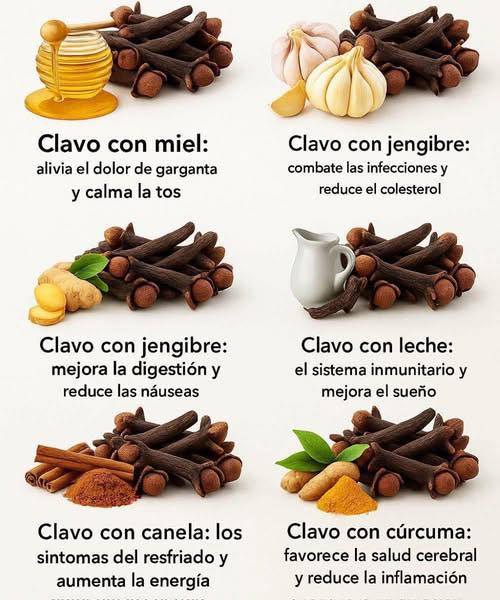 Clavos de olor y sus beneficios: el poder de una especia milenaria