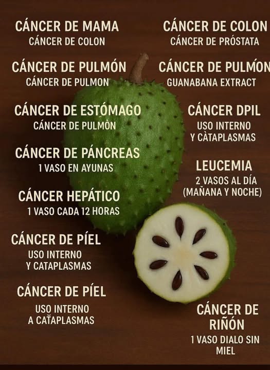 Guanábana y cáncer: beneficios reales, evidencia científica y precauciones
