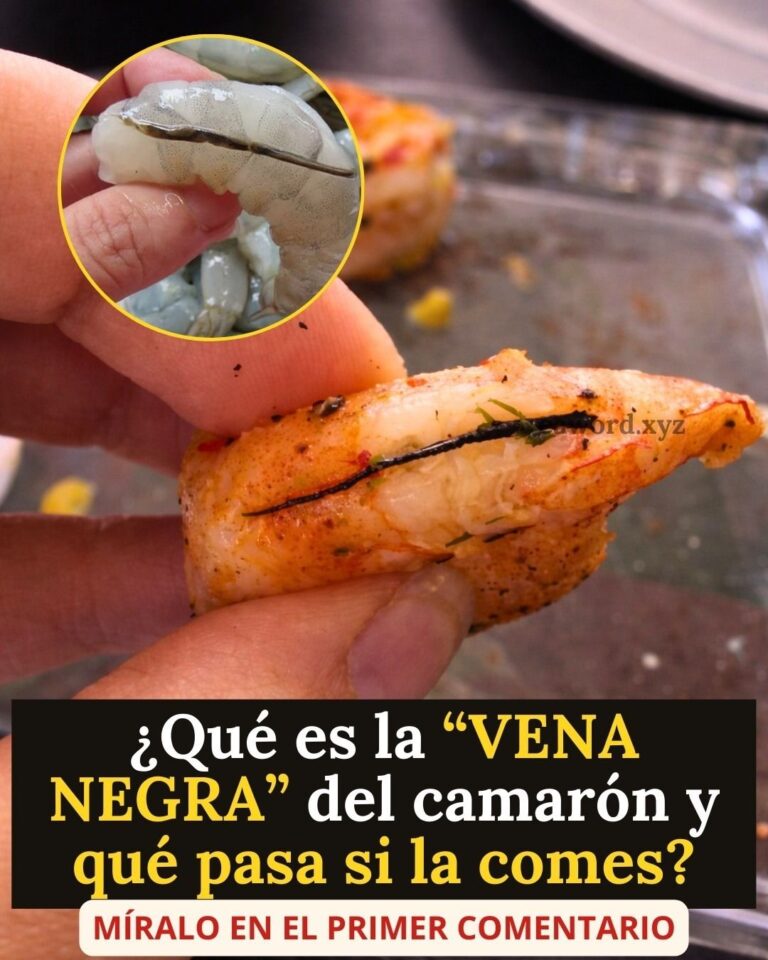 La “vena” del camarón: ¿se debe quitar o se puede dejar? Lo que pocos saben (y casi nadie explica bien)