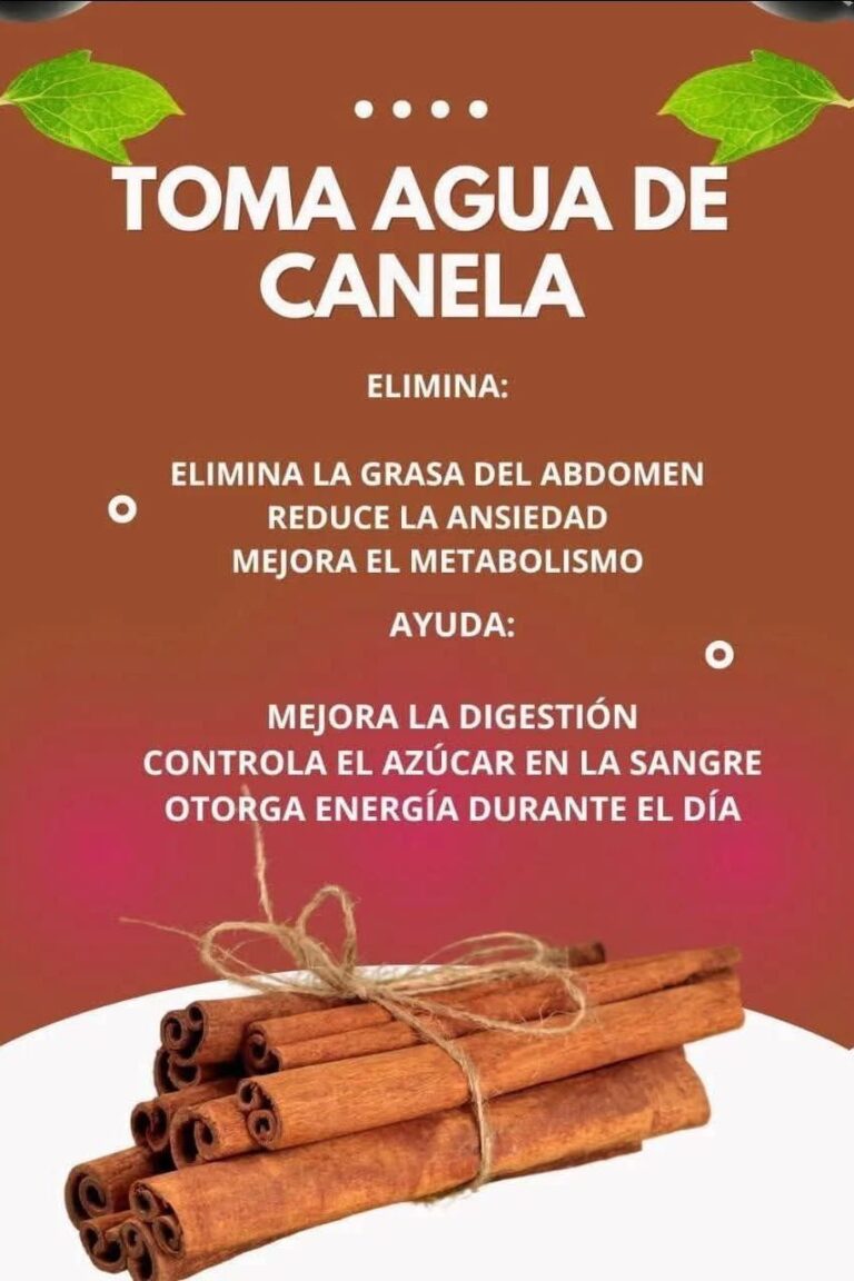 Agua de Canela: Beneficios, Preparación y Consejos