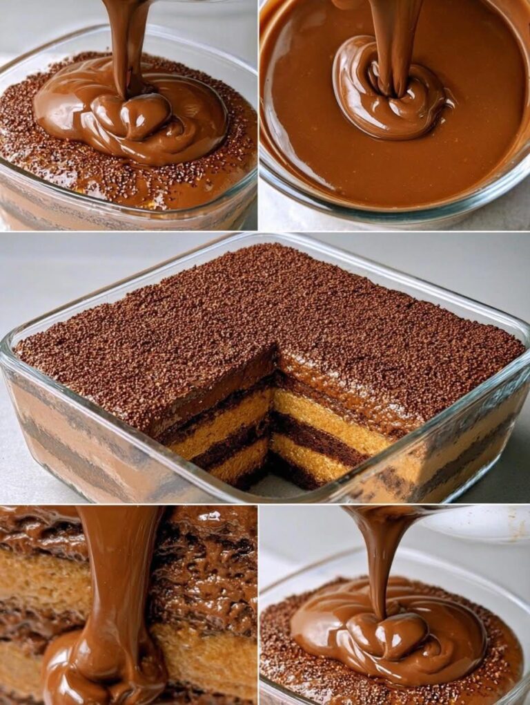 Carlota de Chocolate Cremosa: Un Postre Fácil, Elegante e Irresistible